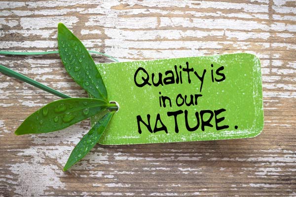 nature